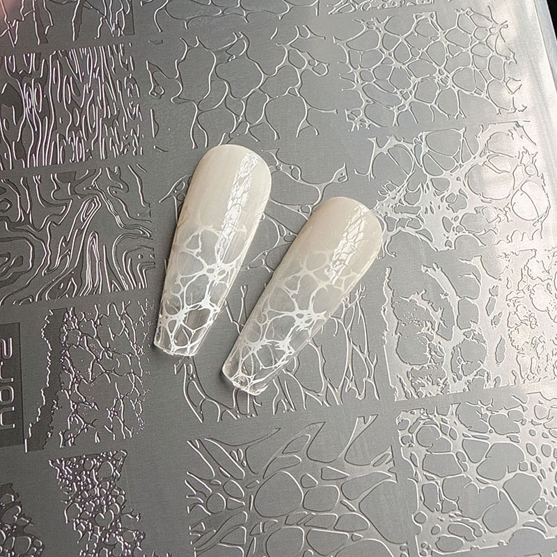 XMQ NAIL ART STAMPING PLATES B – Nail Art Leopard Bewertung und Preis